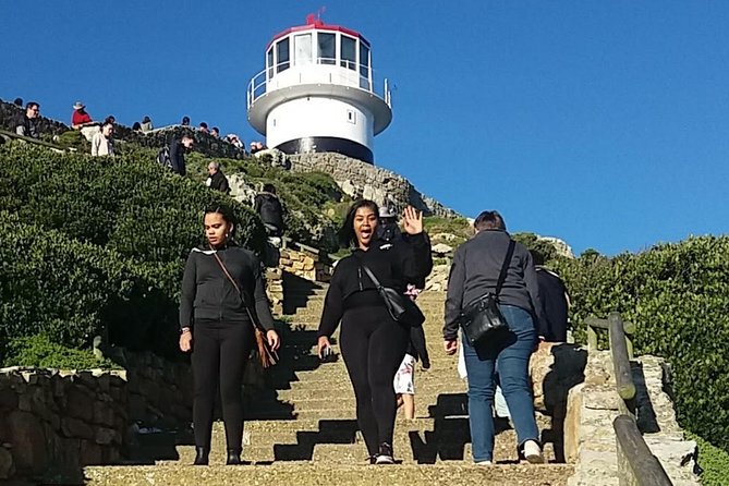 Private Cape Point Penguins Tour-Exploring the Cape Peninsula F/D - Simon’s Town and African penguins at Boulders Beach