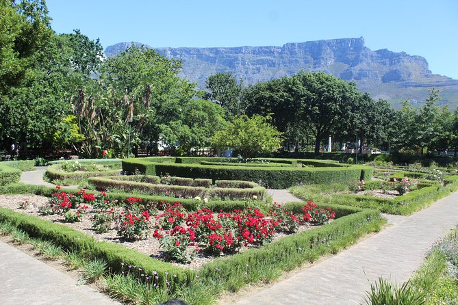 Private Cape Town City Tour Table Mountain + Cable car ticket H/D - Signal Hill for city and harbor views