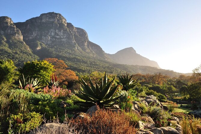 Private Cape Town City Tour table Mountain with wine tasting - Maiden’s Cove and the Atlantic edge