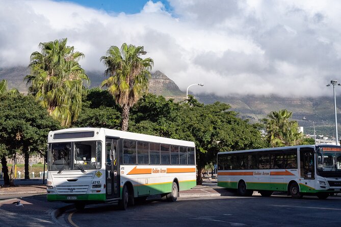Private Cape Town City Tour - District Six Museum and the human cost of apartheid