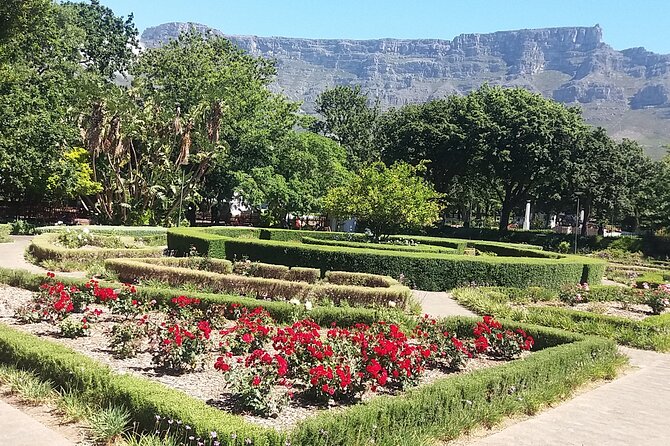 Private Cape Town Table Mountain Bo-Kaap + Cable Car Tickets H/D - Company’s Gardens and small historic details