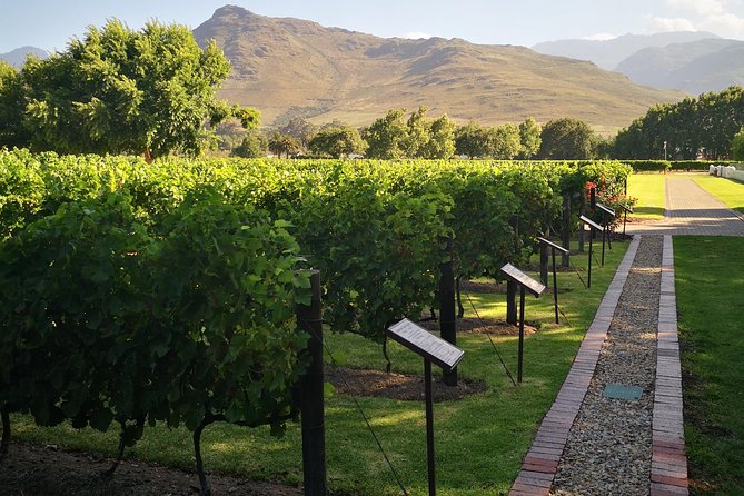 Private Cape Winelands Ful Day Ultra Flexible Guided Tour. - Key points to know before you book
