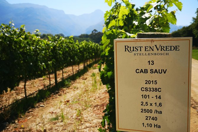 Private Cape Winelands Ful Day Ultra Flexible Guided Tour. - A private day through South Africa’s wine country