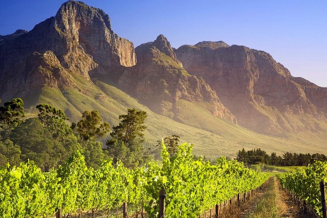 Private Cape Winelands Guided Full Day Tour from Cape Town - La Motte brings history and polish