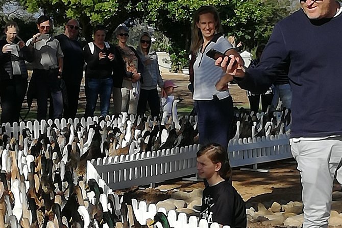 Private Cape Winelands Guided Full Day Tour from Cape Town - Timing, transport, and what you pay