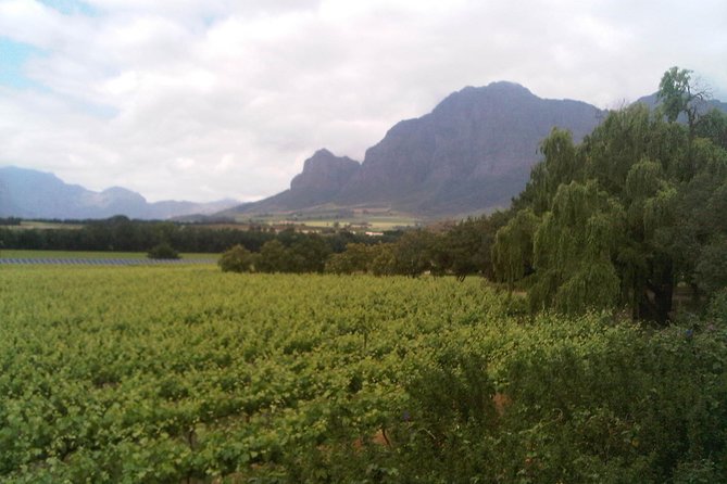 Private Cape Winelands Tour from Cape Town - Why a Private Day Works Well From the Cruise Port