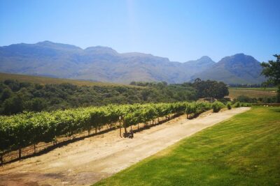 Private Cape Winelands Tour from Cape Town