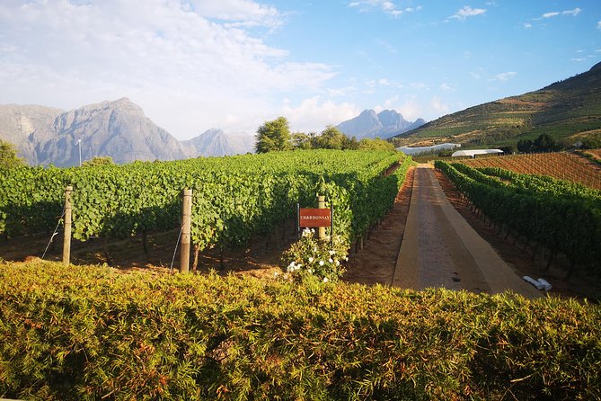 Private Cape Winelands Tour from Cape Town - What the $111.07 Price Really Buys You
