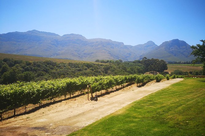 Private Cape Winelands Tour from Cape Town - Franschhoek Pass and the Mountain Views