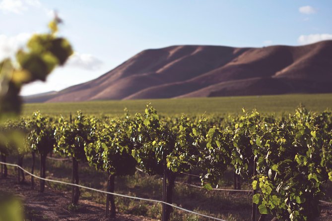 Private Cape Winelands Wine Tasting Tour - Paarl starts with wine and cheese