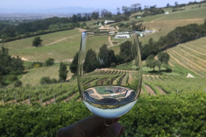 Private Cape Winelands Wine Tasting Tour - What the $176.58 price really covers