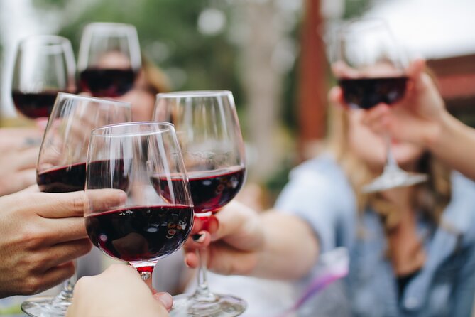 Private Cape Winelands Wine Tasting Tour - Who will enjoy this tour most