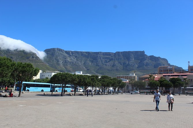 Private City Tour Table Mountain + Cable Car Ticket Camps Bay H/D - Company’s Gardens and the city center