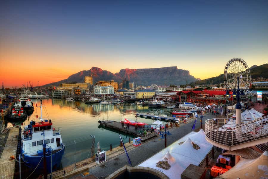 Private Custom Tour with a Local Guide Cape Town - Who should book this Cape Town tour?