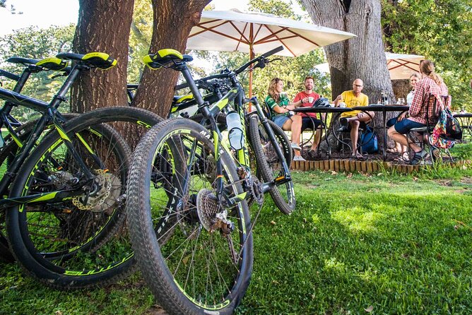 Private Cycling Tour of Constantia Winelands - How the wine tastings fit into the morning