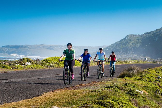 Private Cycling Tour of The Cape Peninsula from Cape Town - Why this Cape Peninsula tour is different