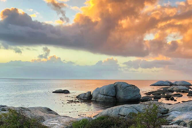 Private Day tour of the Cape. Our reviews show why people book! - Cape Point Nature Reserve: Two Hours at the Peninsula’s Dramatic End