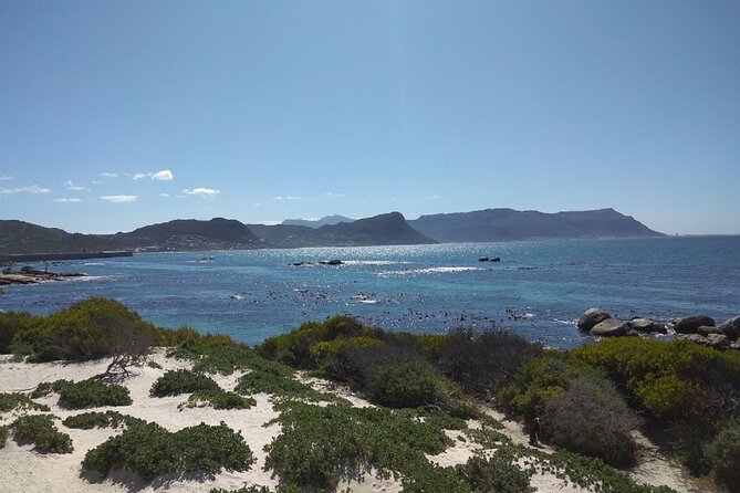 Private Day tour of the Cape. Our reviews show why people book! - Snacks, Lunch, and the Costs You Need to Add
