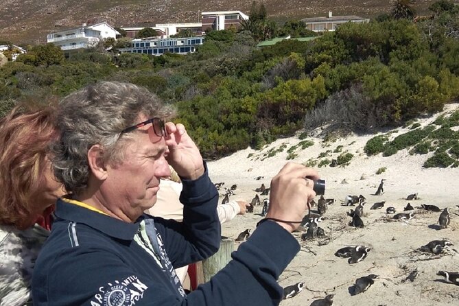 Private Day tour of the Cape. Our reviews show why people book! - Why Geoff Matters to the Experience