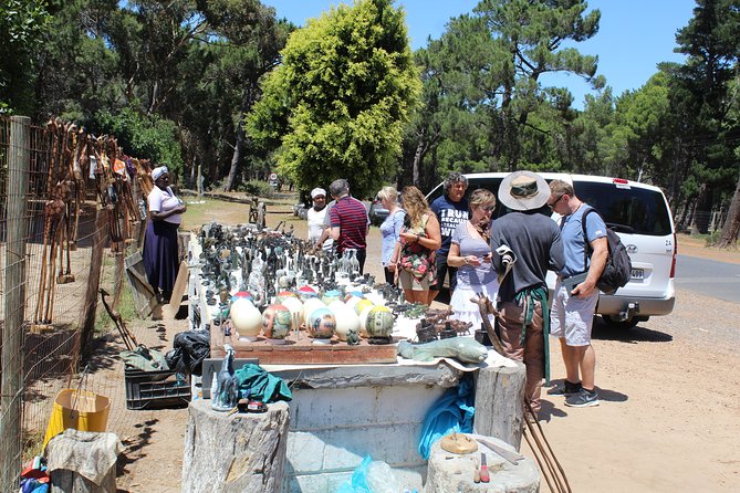 Private Day Tour to Cape of Good Hope Penguins Inc Entry Tickets from Cape Town - Why this private tour works well for a first Cape Town day