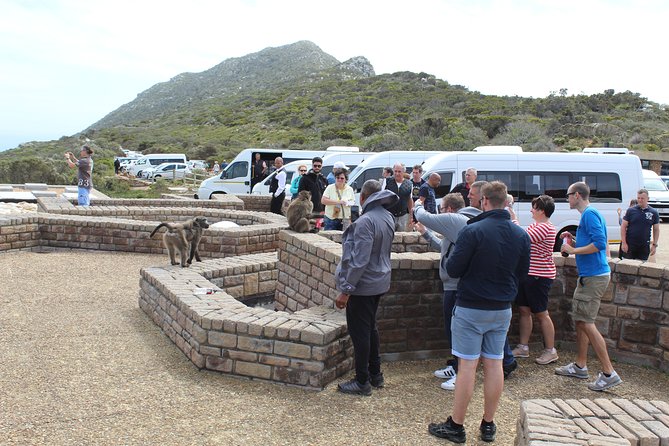 Private Day Tour to Cape of Good Hope Penguins Inc Entry Tickets from Cape Town - Cape of Good Hope: signs, seals, and rough water