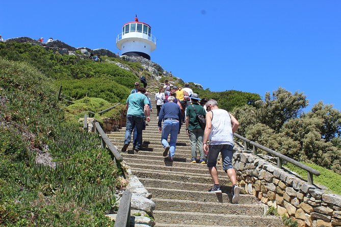 Private Day Tour to Cape of Good Hope Penguins Inc Entry Tickets from Cape Town - Hout Bay and Chapman’s Peak: the day’s strongest road scenery