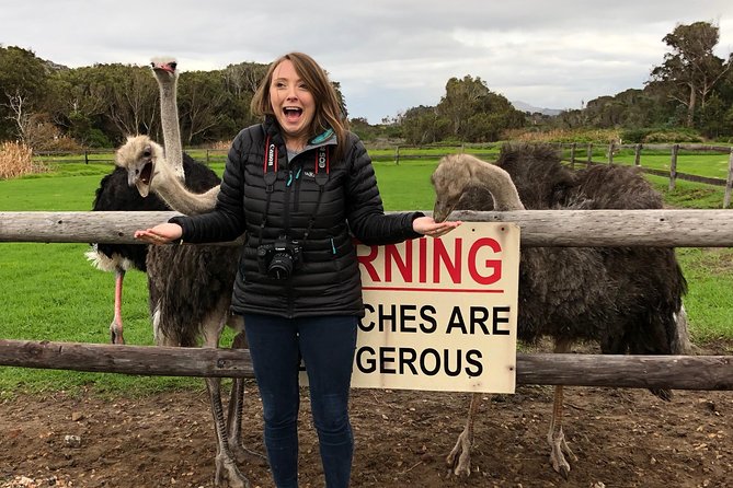 Private Day Tour to Cape Point , Penguins, Wine or Beer Tasting - The ostrich farm: a cheerful change of pace