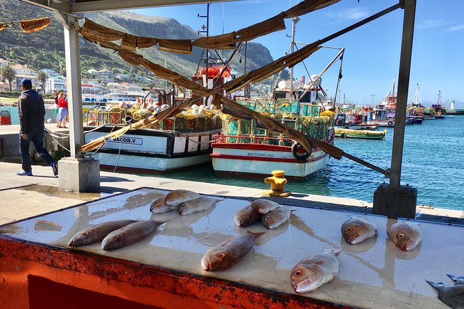 Private Day Tour to Cape Point , Penguins, Wine or Beer Tasting - Reaching the old lighthouse at Cape Point