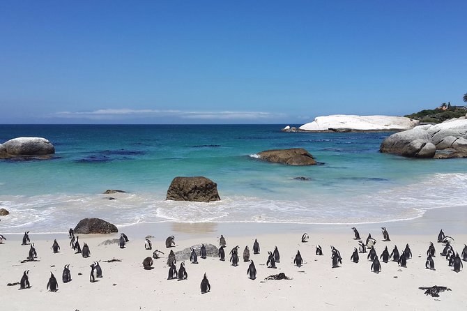 Private day tour to the Cape of Good Hope - Noordhoek Beach from above