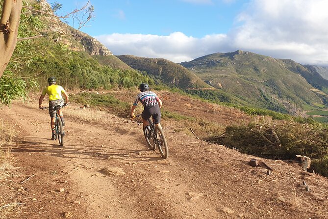 Private E-Bike Cape Town MTB Trails with a Pro - Why this Cape Town ride is different