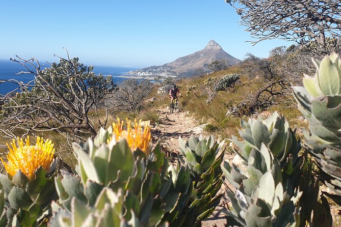 Private E-Bike Cape Town MTB Trails with a Pro - The guide makes the biggest difference