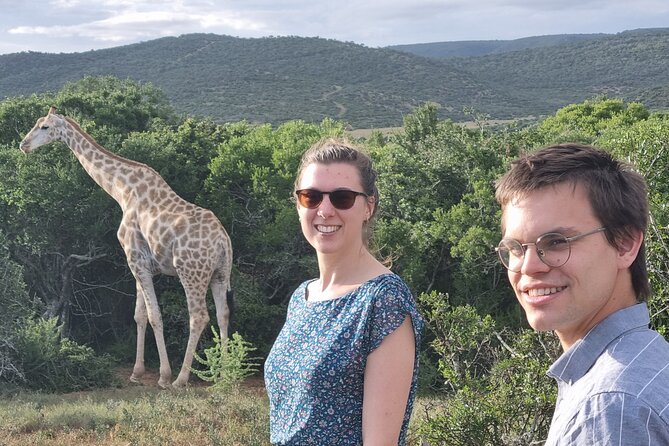 Private Full-Day Addo Elephant Park & Giraffe Walk - Key points to know before booking