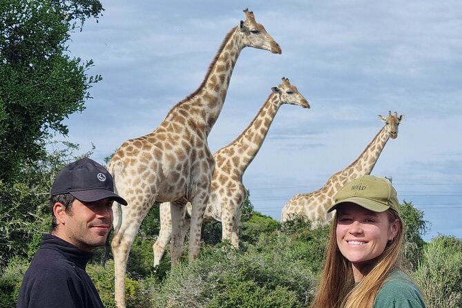 Private Full-Day Addo Elephant Park & Giraffe Walk - Why this Port Elizabeth day trip is different