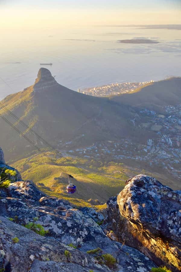 PRIVATE FULL DAY CAPE PENINSULA TOUR - Five useful things to know before booking