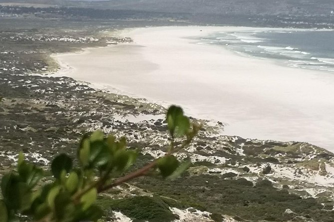 Private Full Day Cape Town City Scenic and Table Mountain Tour. - Bo-Kaap, spices, and samosas
