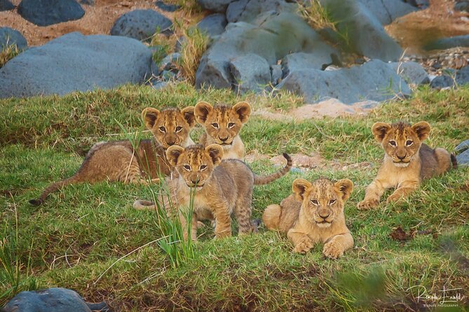 Private Full Day Safari (10 hours) in Kruger National Park - Why this Kruger safari offers good value