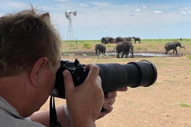 Private Full Day Safari (10 hours) in Kruger National Park - Satara’s open plains and predator country