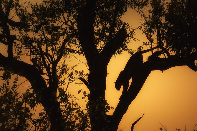 Private Full Day Safari (10 hours) in Kruger National Park - Letaba Rest Camp and the Elephant Hall