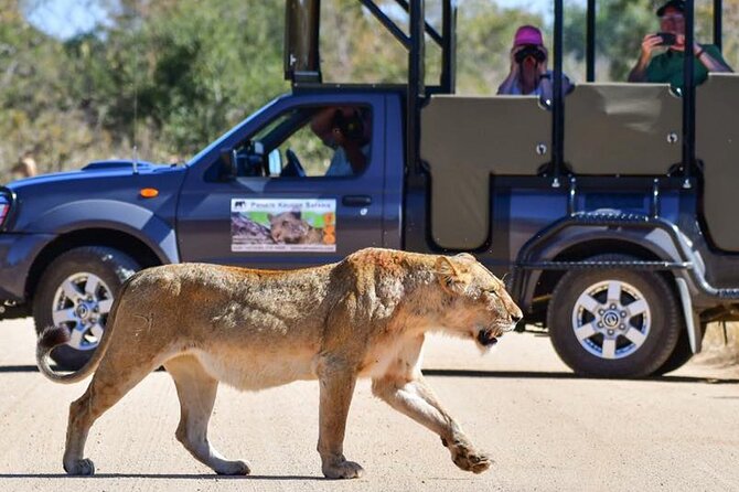 Private Full Day Safari l Kruger National Park from Hazyview or Skukuza - Five things to know before you book