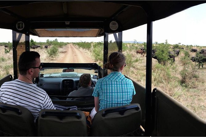 Private Full Day Safari l Kruger National Park from Hazyview or Skukuza - Why a full day in Kruger makes sense