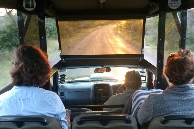 Private Full Day Safari l Kruger National Park from Hazyview or Skukuza - Afternoon game drives and the Big Five search