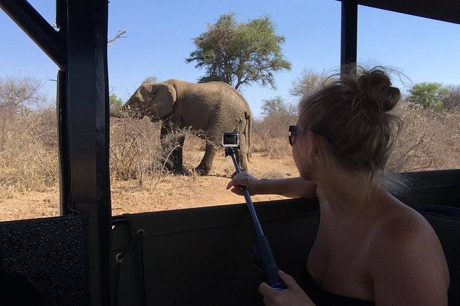 Private Full Day Safari l Kruger National Park from Hazyview or Skukuza - The private group advantage