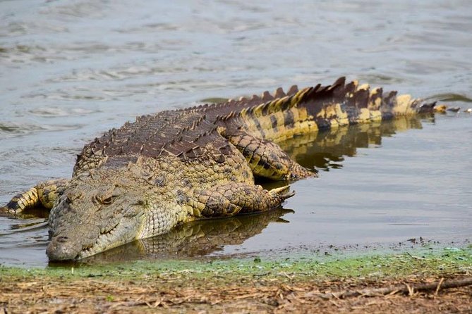 Private Full Day Safari l Kruger National Park from Hazyview or Skukuza - What the price includes, and what it does not