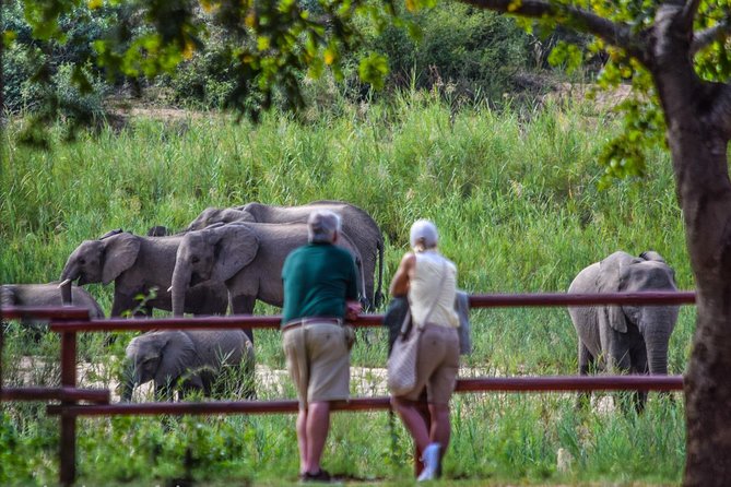 Private Full Day Safari l Kruger National Park from Hazyview or Skukuza - Who will enjoy this safari most