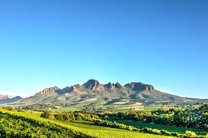 Private Full Day Stellenbosch Wine Tour - Why a private Stellenbosch day makes sense