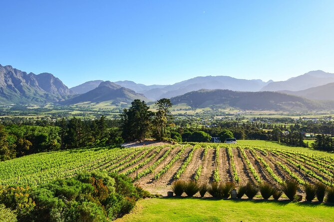 Private Full Day Stellenbosch Wine Tour - Stellenbosch gives the day some history and character