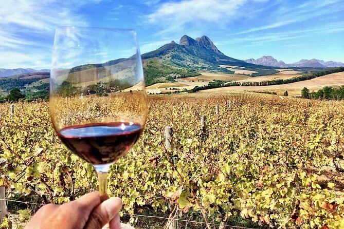 Private Full Day Stellenbosch Wine Tour - Delaire Graff brings luxury and big views