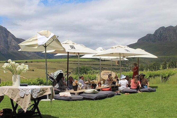 Private Full Day Stellenbosch Wine Tour - The cellar visit and what it adds