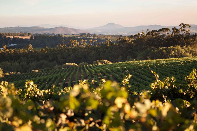 Private Full Day Stellenbosch Wine Tour with Pick Up and Drop Off - The Day at a Glance