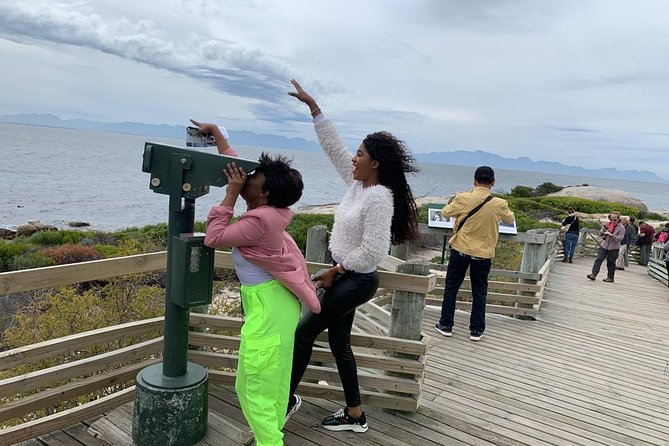 Private Full Day Tour To Cape Point, Penguins With Table Mountain. - Why a private 10-hour day makes sense